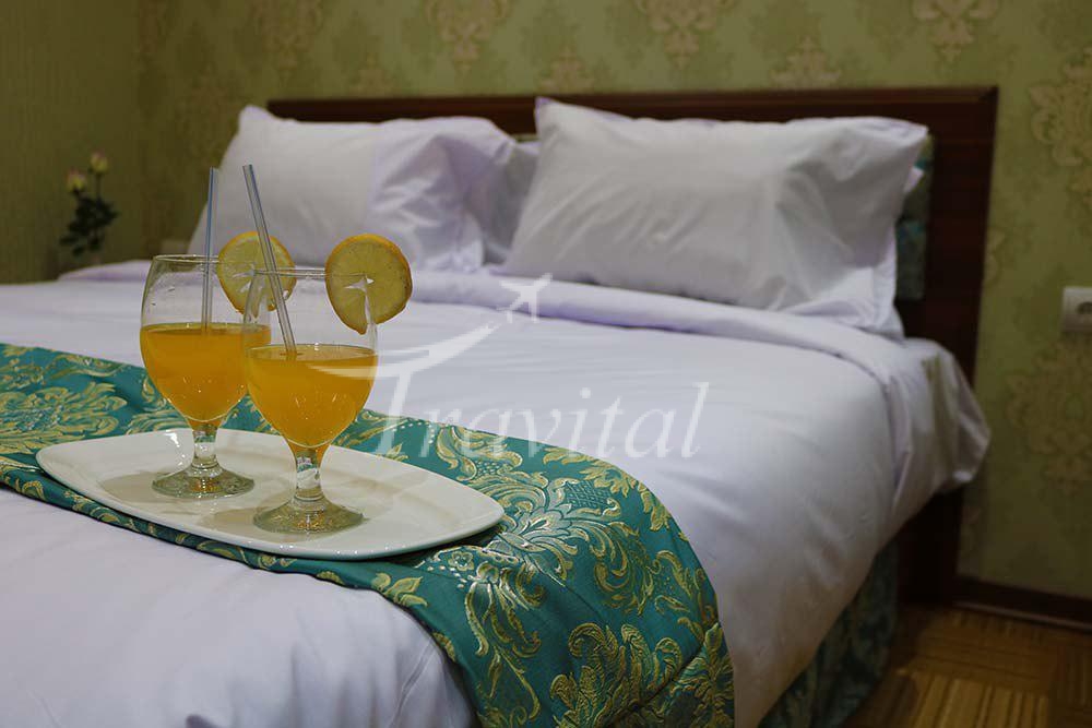 Amiran International Hotel Hamedan 6