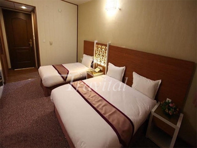 Avin Hotel Isfahan 7