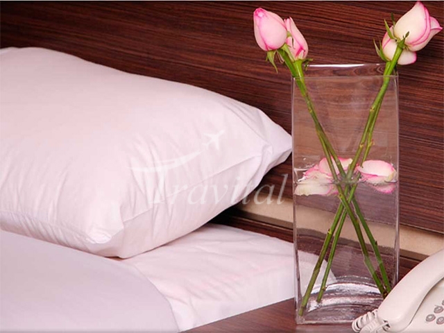 Sheikh Bahaei Hotel Isfahan 9