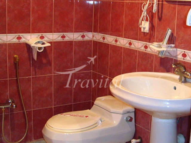 Tehrani Hotel Yazd 3